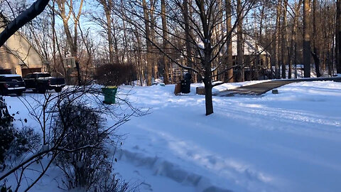 February 5, 2022 - The View From My Front Door