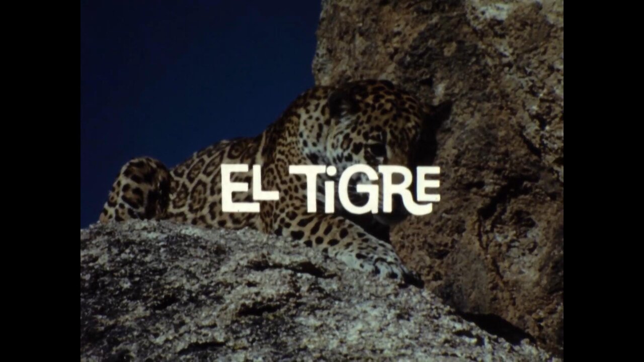 Mutual of Omaha's Wild Kingdom - "El Tigre"