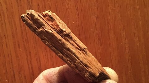 The original forest on flat earth part 8, Angels Landing-Utah