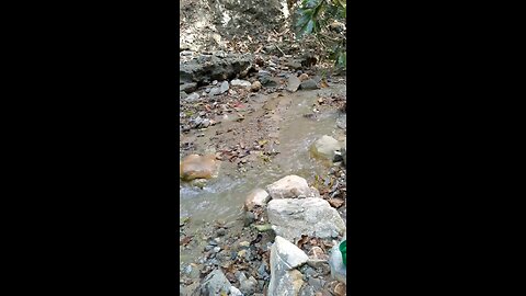 We Had No Choice but to Drink from the Flowing River