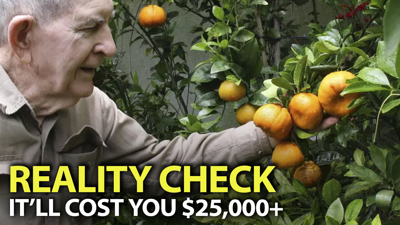 Oranges In The Snow? Well Not Really...