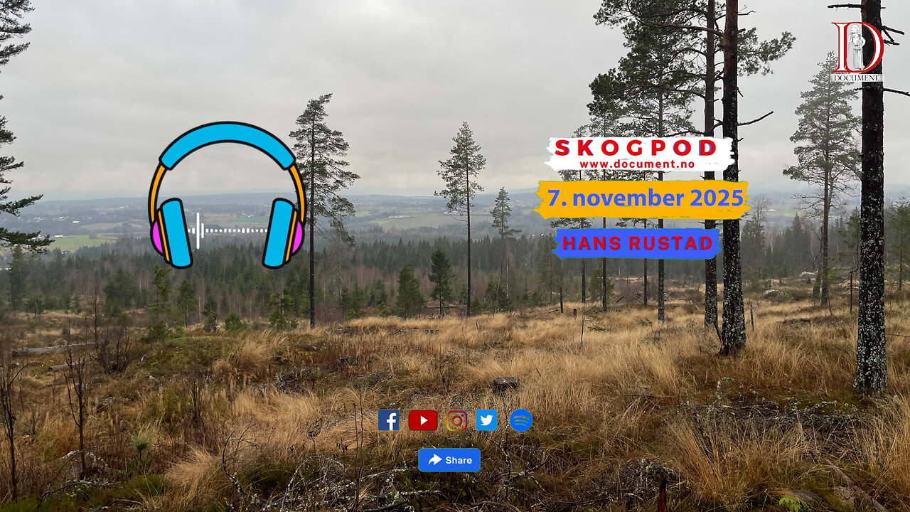 Skogpod 7. november 2025