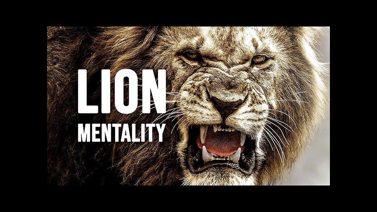 "Lion Mentality 🦁 | Think Like a King, Move Like a Beast | Motivation by Abrish"