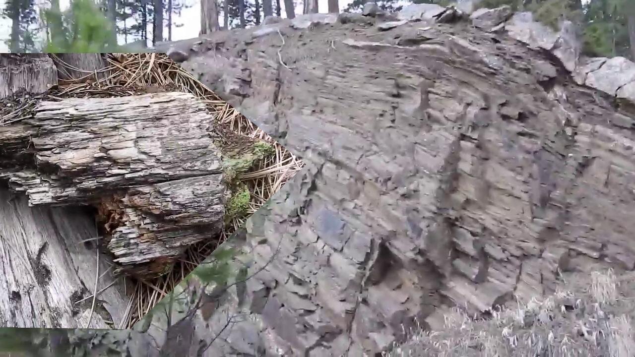 The original forest on flat earth part 15, 4 of 7, My Trip Unedited