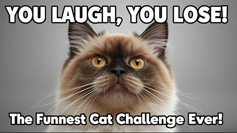 😹 YOU LAUGH, YOU LOSE! The Funniest Cat Challenge Ever!