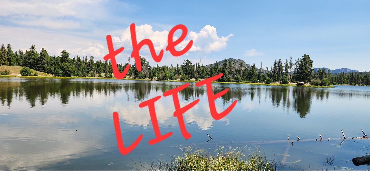The LIFE