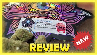 Papaya Punch @ JK DISTRO