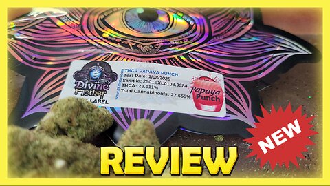 Papaya Punch @ JK DISTRO