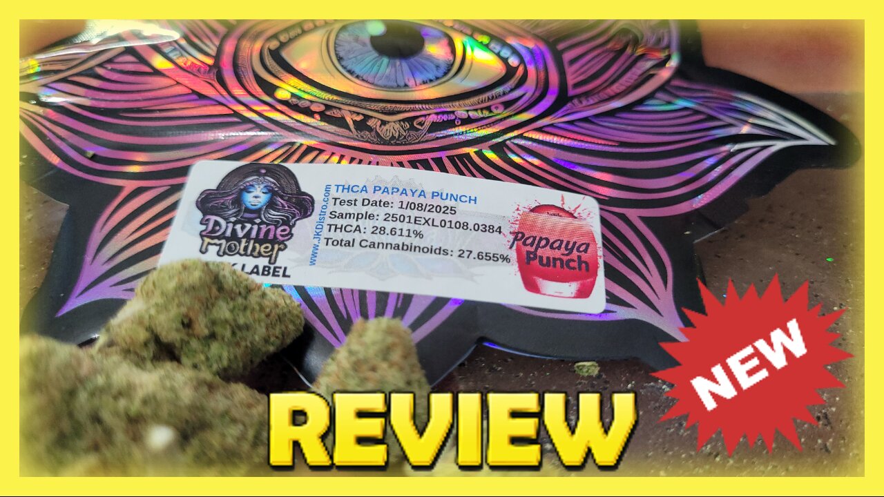 Papaya Punch @ JK DISTRO