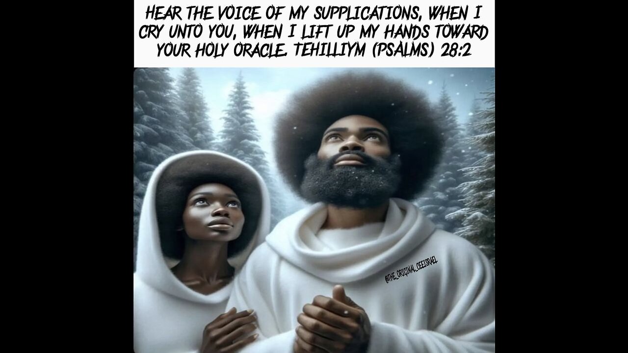 Entertainment: Good Wife