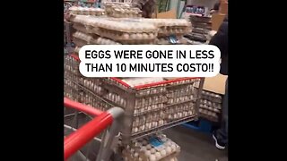 Costco eggs flying off shelves as prices skyrocket