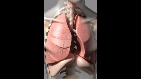 Ultra-realistic 3D animation of human lungs #3dmedico