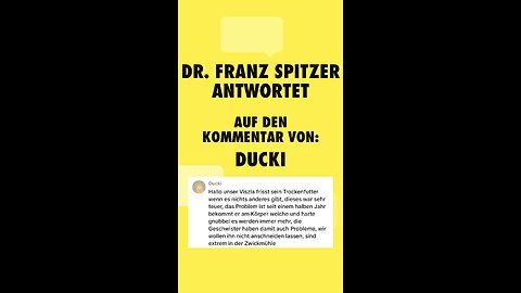 Viszla steckt in der Zwickmühle und fragt Dr. Franz Spitzer um Rat.