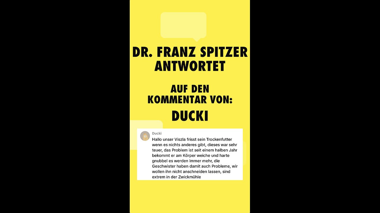 Viszla steckt in der Zwickmühle und fragt Dr. Franz Spitzer um Rat.