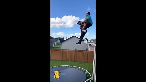 Funny Cat #shorts #kucing #kucinglucu #funny #pet #cat #foryou #viral #viralvideo