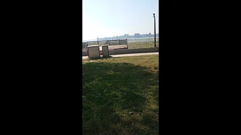 mansbal