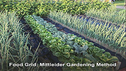 PFTTOT Part 487 Food Grid - Mittleider Gardening Method