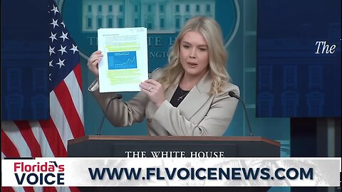 Karoline Leavitt EMBARASSES liberal reporter about immigrant medicaid