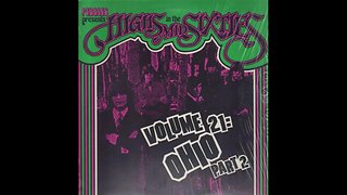 Various - Highs in the Mid Sixties Vol 21 Ohio Part 2 (1985) [Full Album] Vinyl Rip