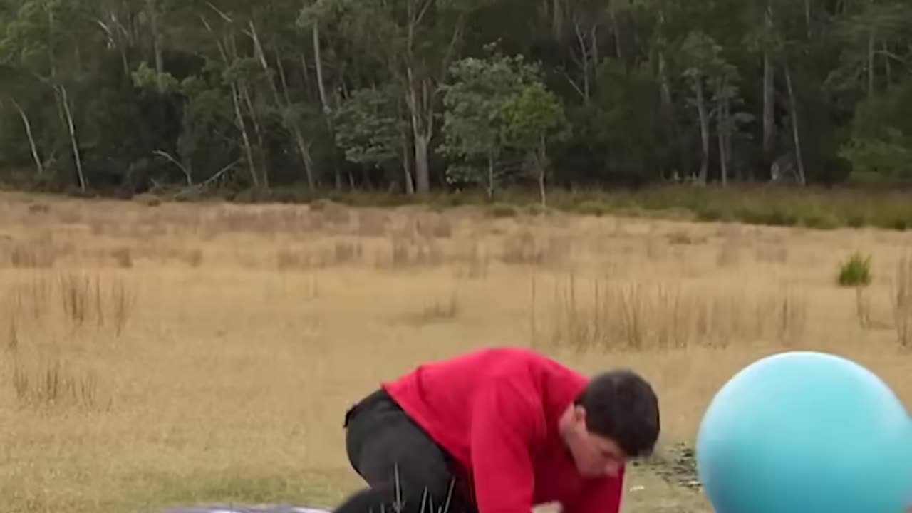 A physical comedy skit about how different animals would do Parkour