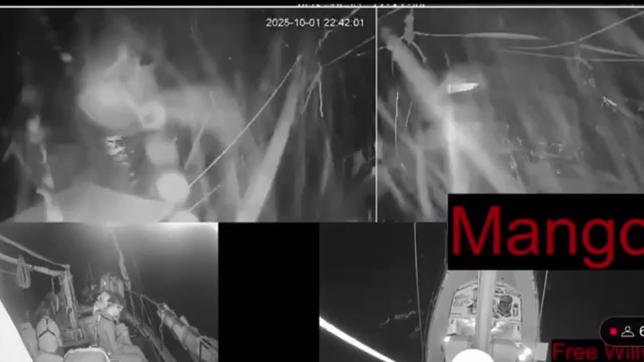 The Mango ship came under attack from an Israeli warship using water cannons