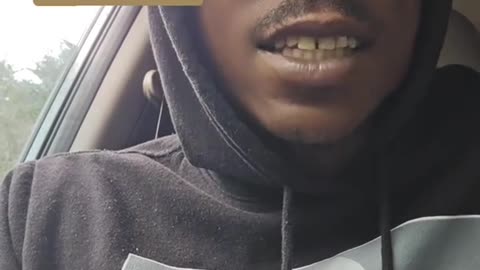 Insectoids - The BUILDERS of Neural LATTICES