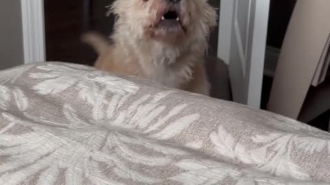 Berkeley tells mom he has to go outside 