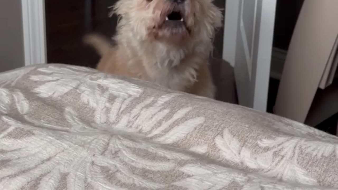 Berkeley tells mom he has to go outside