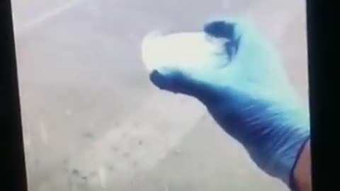 RAINWATER UNDER A MICROSCOPE