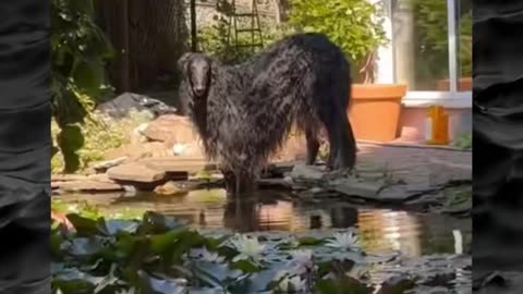 😱👻 The Scariest Paranormal Videos Ever! Part 40 | TheHauntingHour