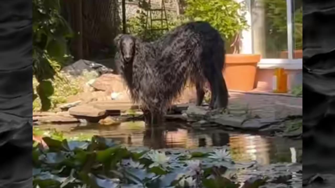 😱👻 The Scariest Paranormal Videos Ever! Part 40 | TheHauntingHour