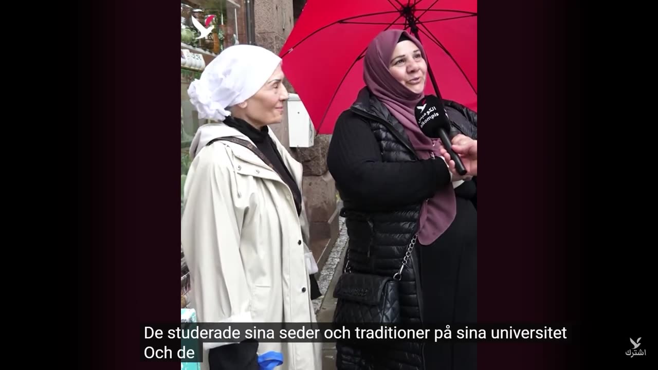 Helsingborg paradis