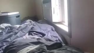 💀😳 Wait For The Epic Moment! Instant Regret Busted | FunFM