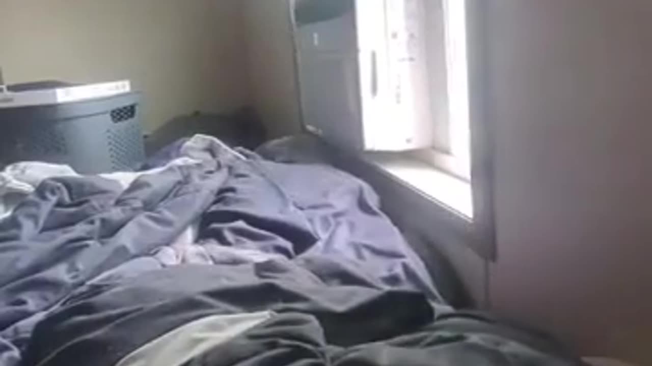 💀😳 Wait For The Epic Moment! Instant Regret Busted | FunFM