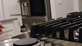 Abandoned Dogs RUINED This Garage… Did the Cleaners Save It? 🤢😂