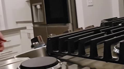 Abandoned Dogs RUINED This Garage… Did the Cleaners Save It? 🤢😂