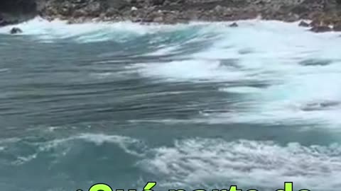 😊 225 “TU ESPÍRITU DIRIGE LA REALIDAD QUE EXPERIMENTAS” Proverbios 3:8 😊