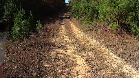 The Overland Course with My 11.5" Suppressed Rifle and Other Musings