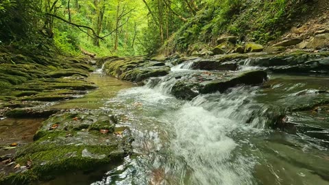 The Rocking Chair: Genesis 24 - "The Gift not Mentioned; The Gift of Drawing Water from a Man"