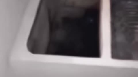 ⚠️👹 Quick Demon Jumpscare – Are You Ready? Paranormal Shock | TheHauntingHour