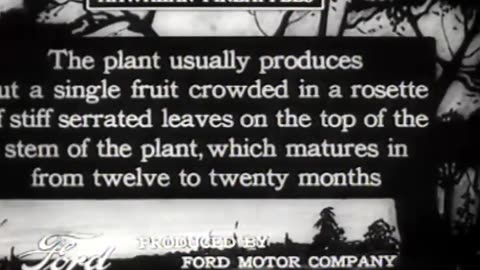 Hawaii, Its People... - Hawaii, Its People, Customs, and Scenic Wonders Hawaiian Pin - fc-fc-2000a-c