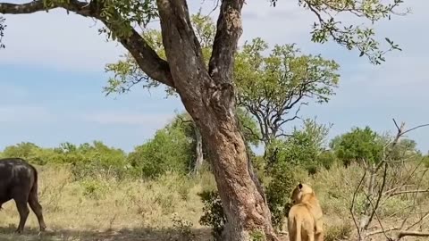 #adventurevideo