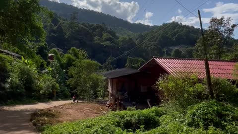 Two months volunteering on a coffee farm in Chiang Rai with the Lahu community - Part 5