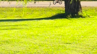 😂🚴‍♂️ When You Try to Impress with Your New Bike Skills | FunFM