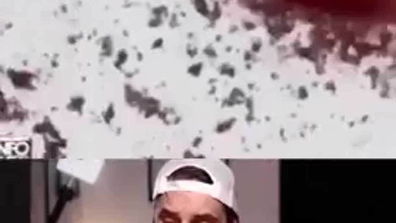 Dr. Ryan Cole - What jabs do to blood under the microscope