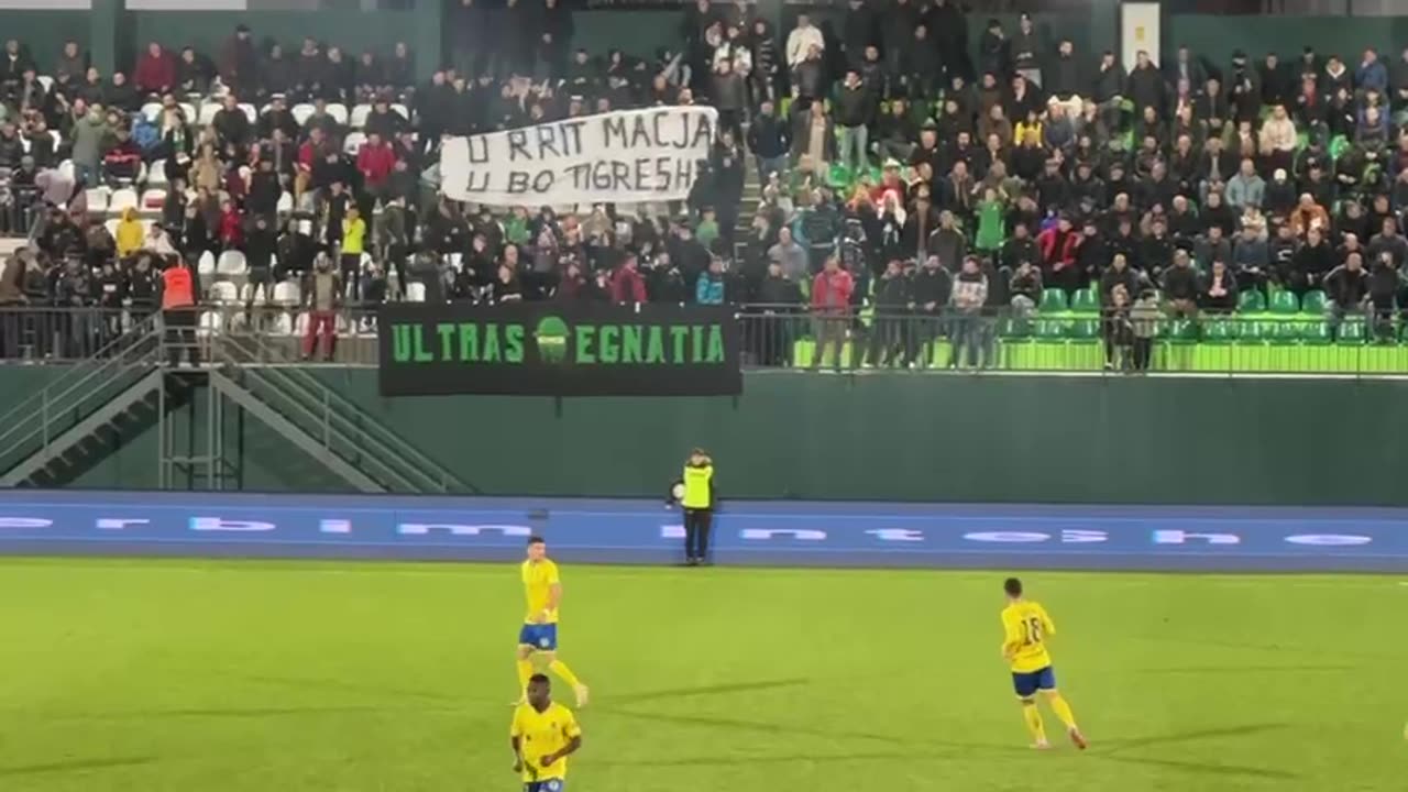 tifozet tallen me elbasanin