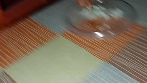 Federico the Chicken Eats With the Family