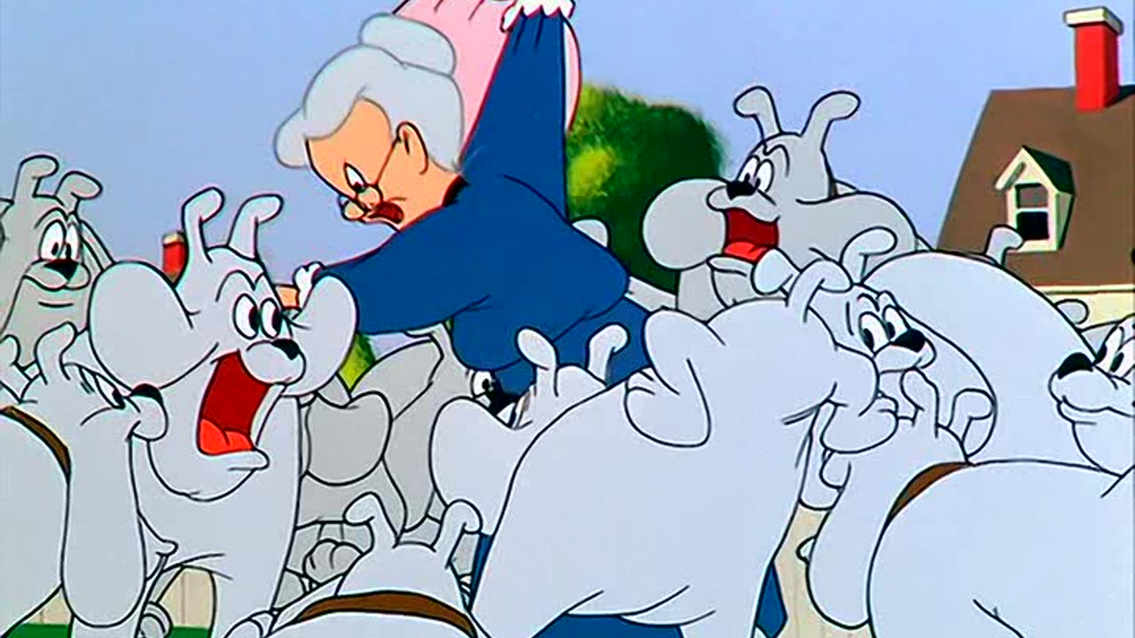 LT (LOONEY TOONS) E 15