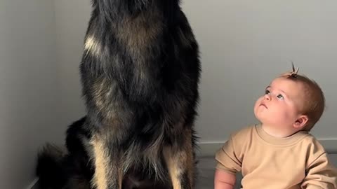 BarkTalkDaily