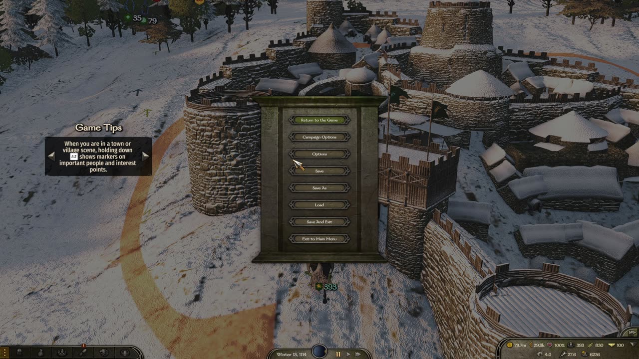 Mount and Blade II Bannerlord Ucasios 194